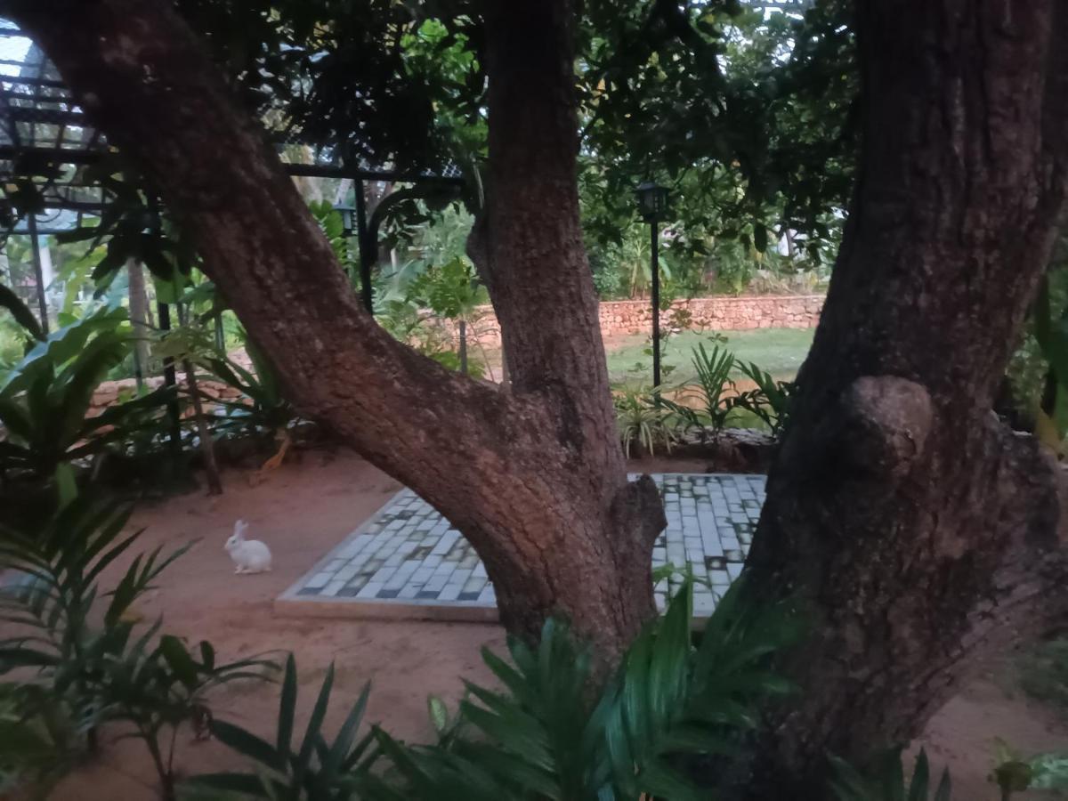 Lucky Beach Resort Trincomalee Exterior photo